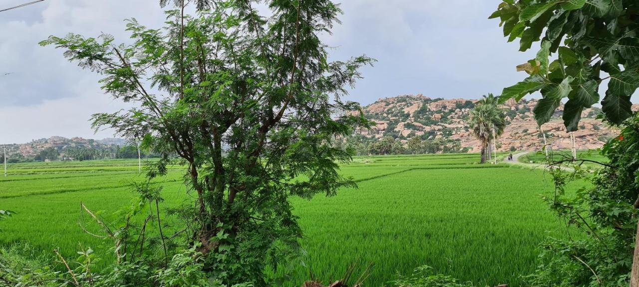 Jungle Tree Hampi Ξενοδοχείο Εξωτερικό φωτογραφία